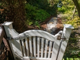 Im Garten