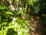 Verwunschener Garten