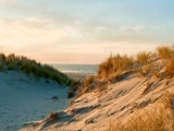 Strandübergang - wenige Schritte entfernt