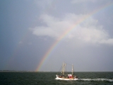 Regenbogen